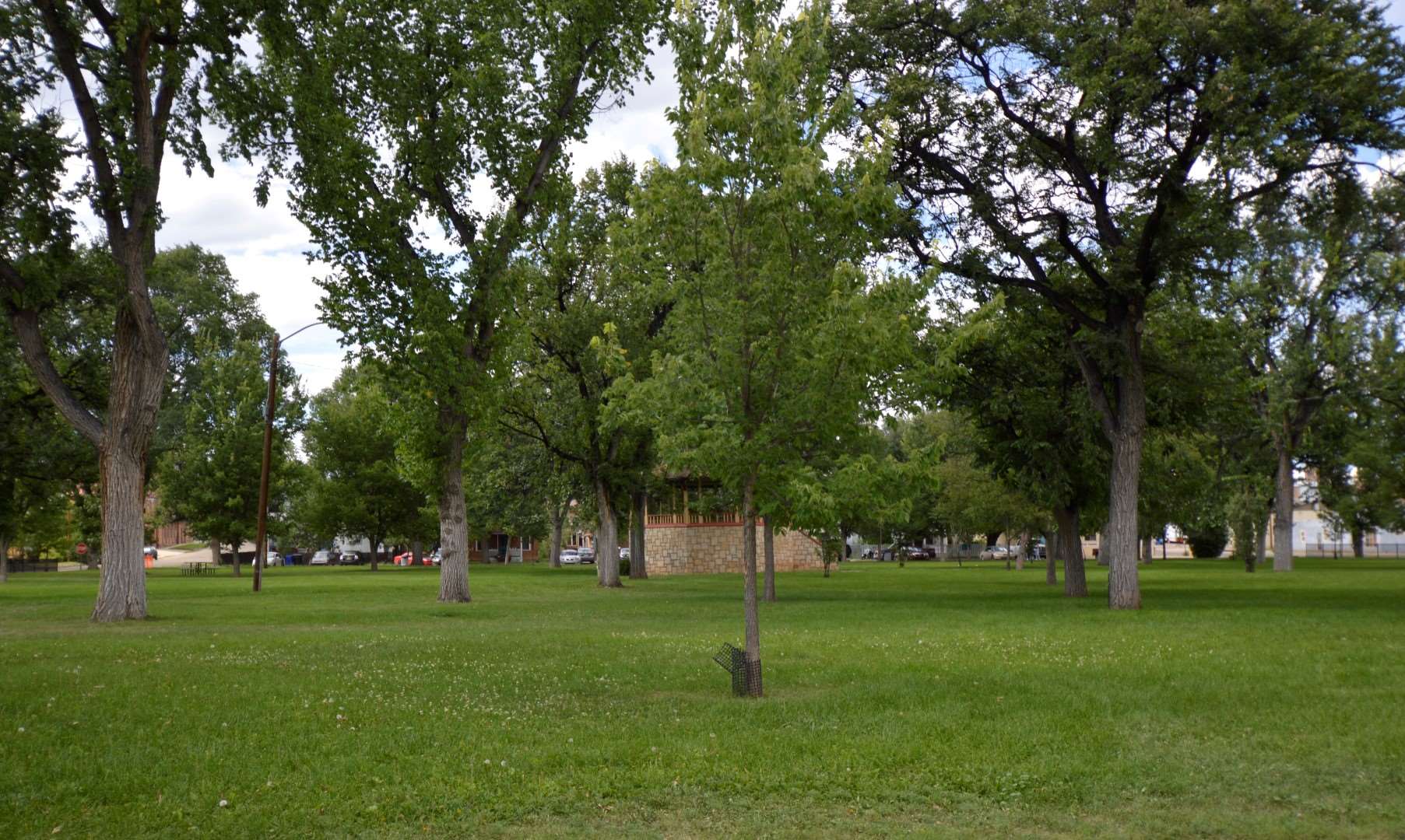 Bunny Terry Santa Fe Real Estate REAL Broker